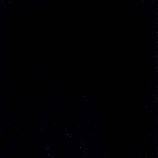 Bolzan-Blitum-666