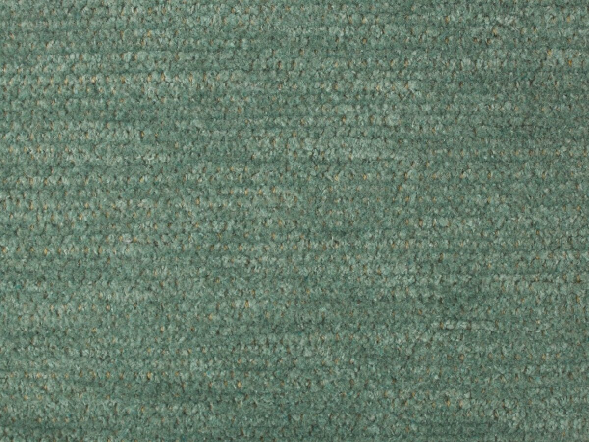 Bolzan-Cassia-08-Cat C