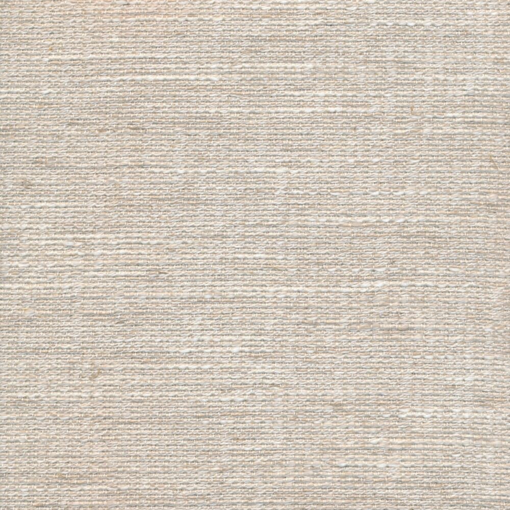 Bolzan-Ellisia-01-Cat.E