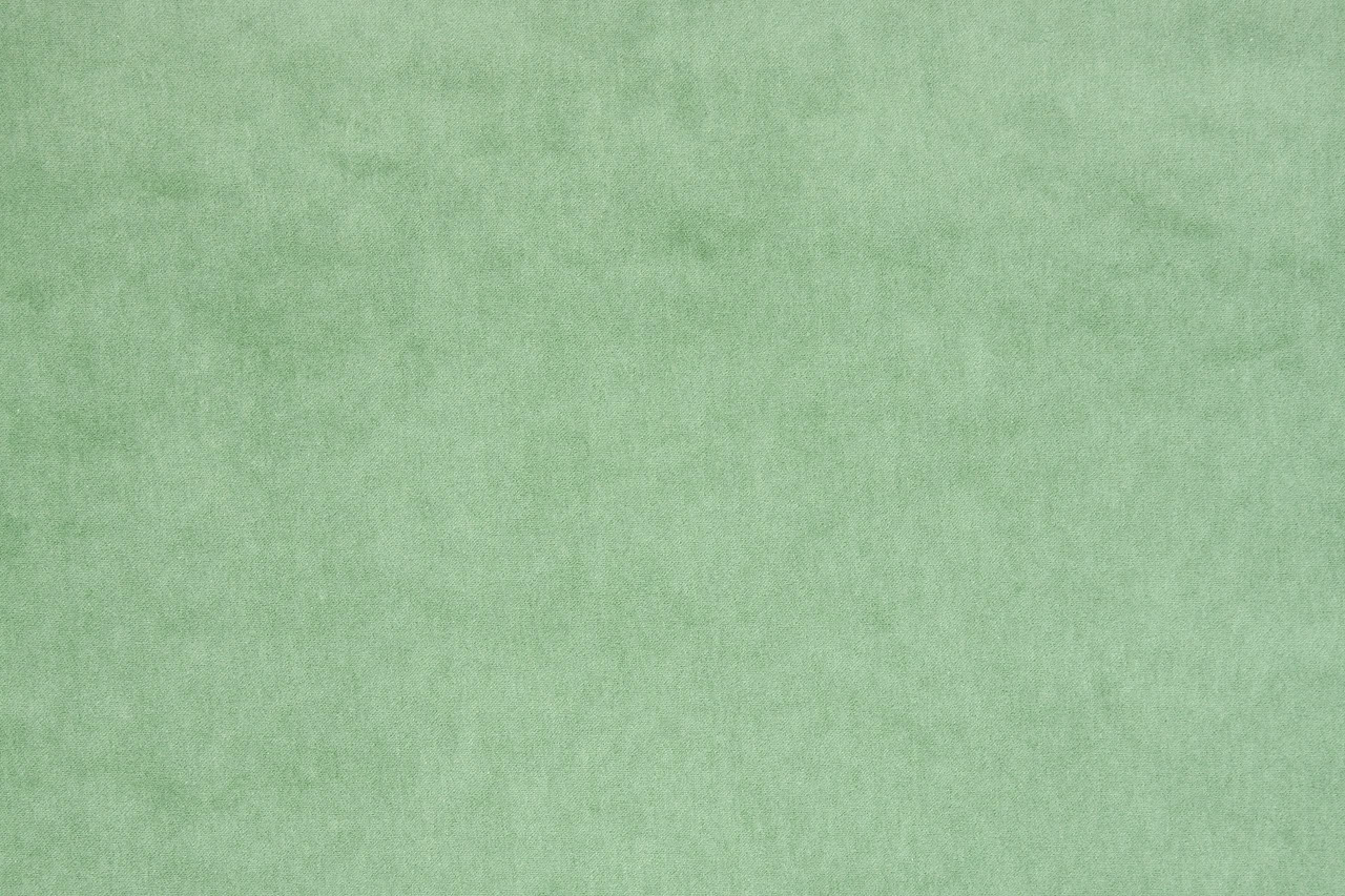 Bolzan-Elodea-1005-Cat.E