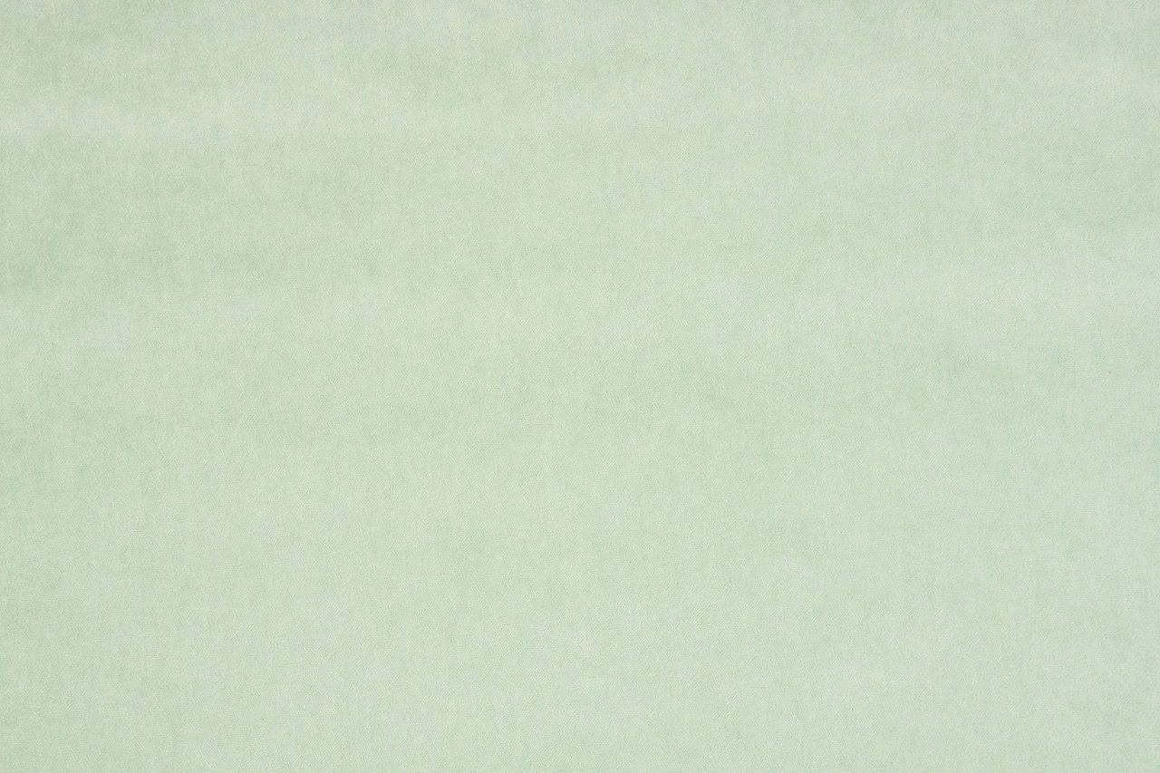 Bolzan-Elodea-1018-Cat.E