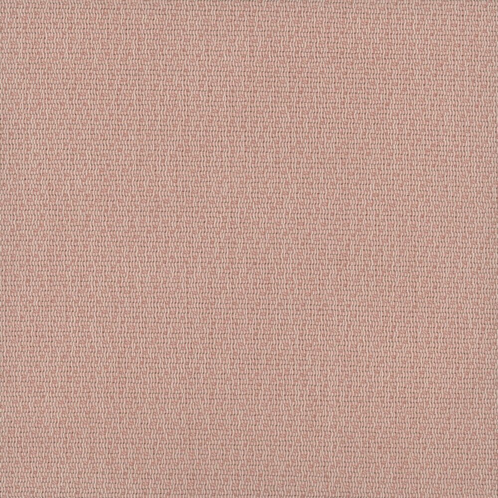 Bolzan-Erica-86-Cat.E