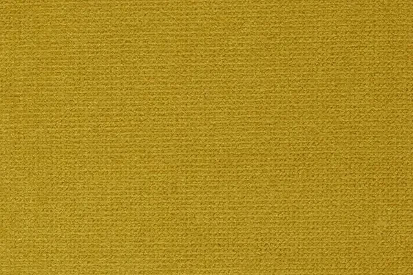 Bolzan-Petunia-112-Cat.Plus