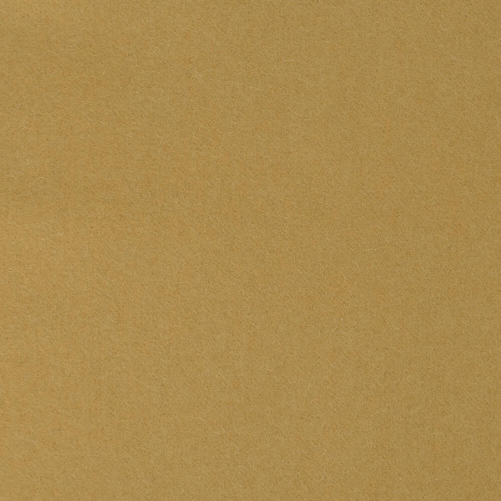 Bolzan-Phlox-04-Cat.Plus