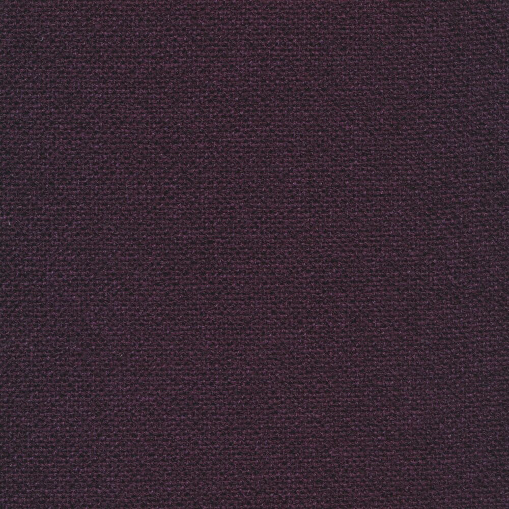 Bolzan-Primula-240-Cat.Plus