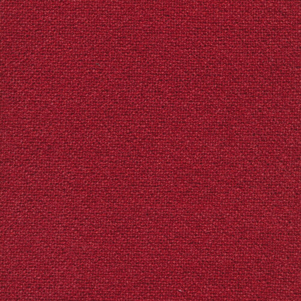 Bolzan-Primula-280-Cat.Plus