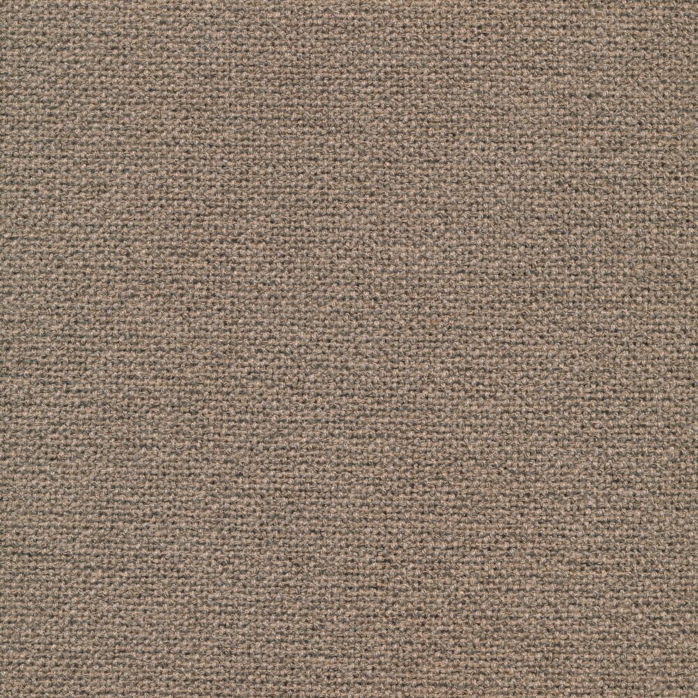 Bolzan-Primula-320-Cat.Plus
