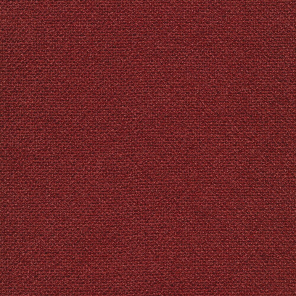 Bolzan-Primula-480-Cat.Plus