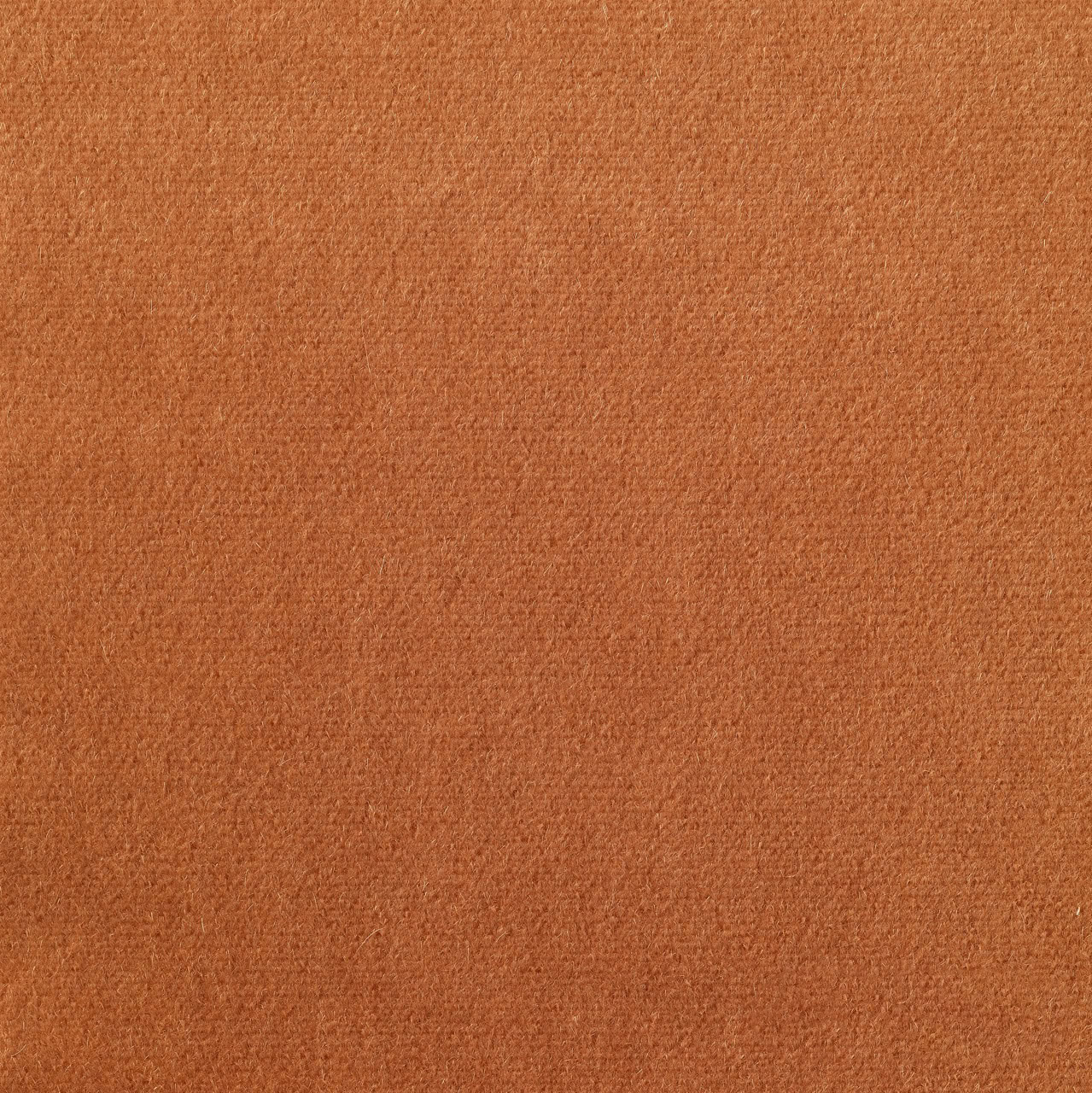 Bolzan-Tate-27-Cat.Extra