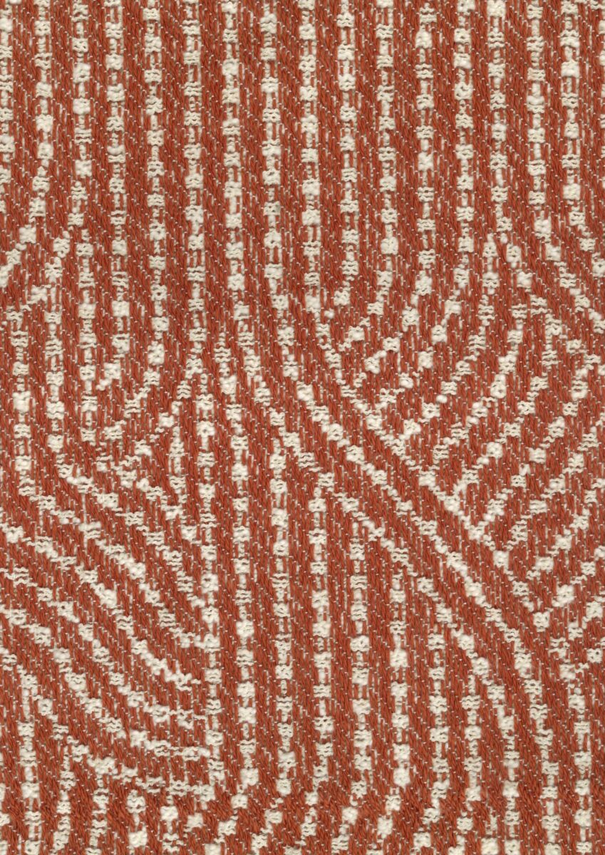 Cat.Plus_Sacile_005 Buciato