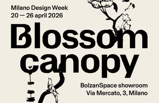 blossom-canopy